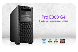 Asus Pro E800 G4