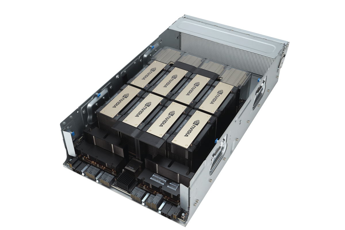 Server and Workstation