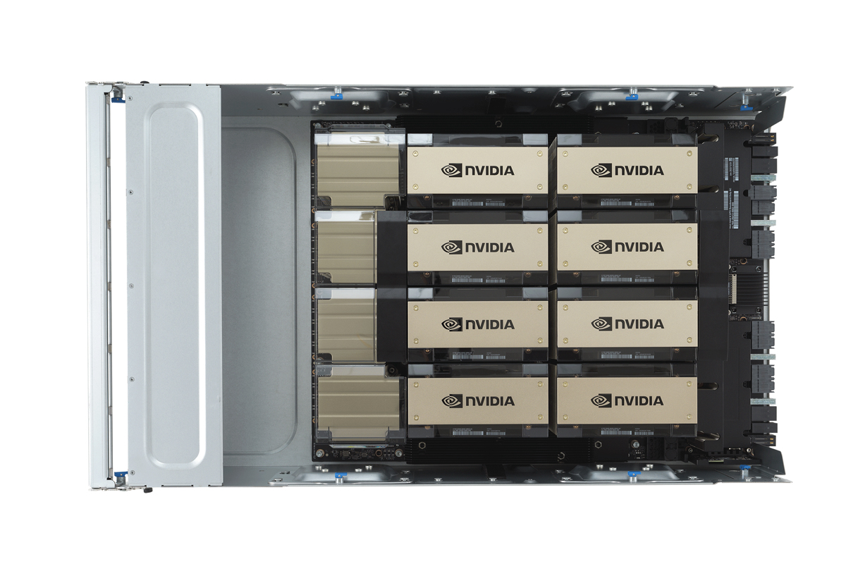 Server and Workstation